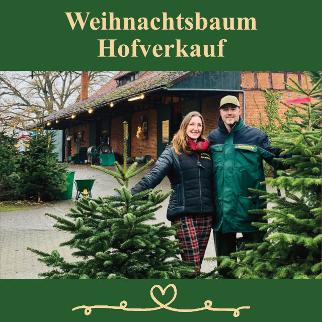 Titelbild Weihnachtsbaum Hofverkauf