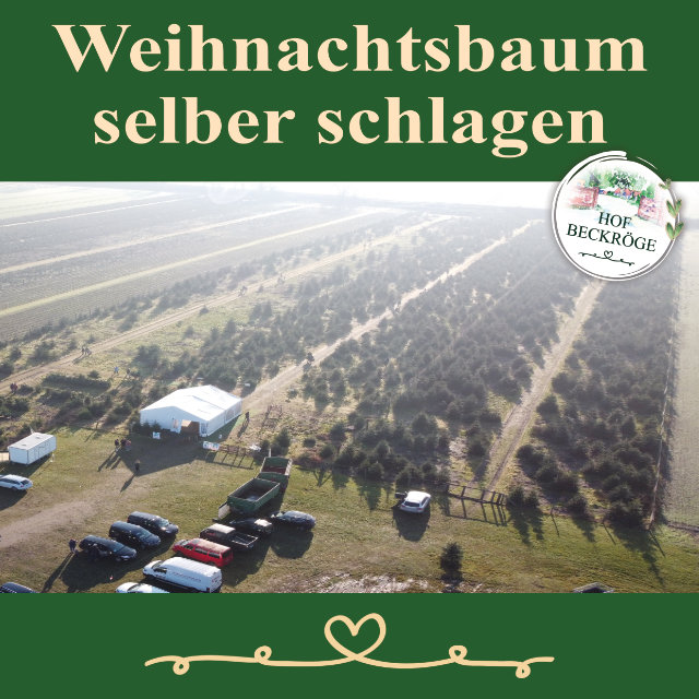 Titelbild Wehnachtsbaum selber schlagen